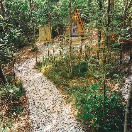 Appartamento Blue Brambler Glamping A-Frame Rockbridge Esterno foto