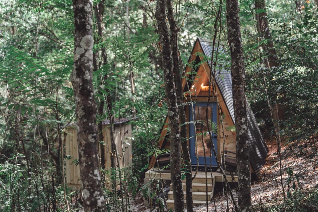 Apartment Blue Brambler Glamping A-frame Rockbridge
